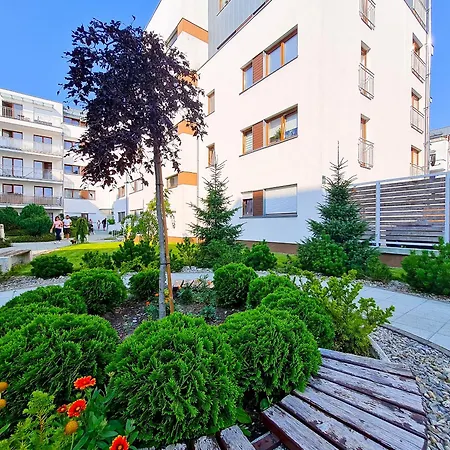 Visit Baltic - Platan Ster