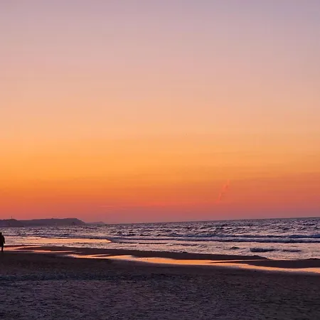 Visit Baltic - Platan Ster