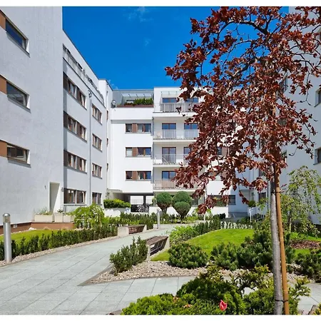 Visit Baltic - Platan Ster