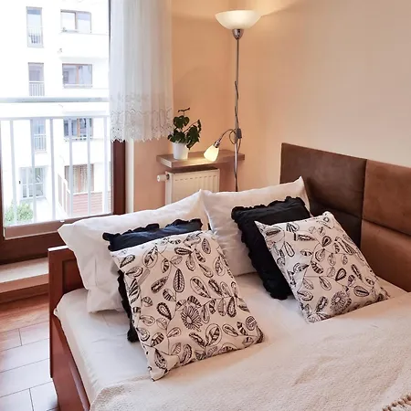 Visit Baltic - Platan Ster