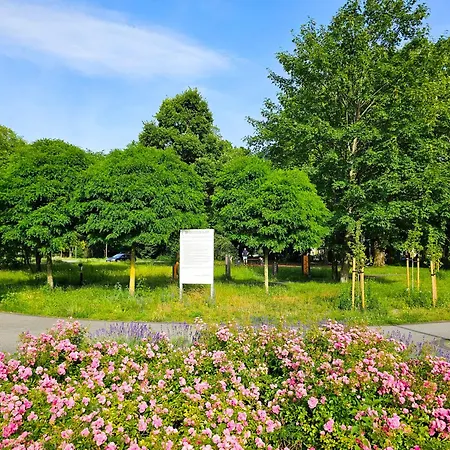 Daire Visit Baltic - Platan Ster Swinoujscie