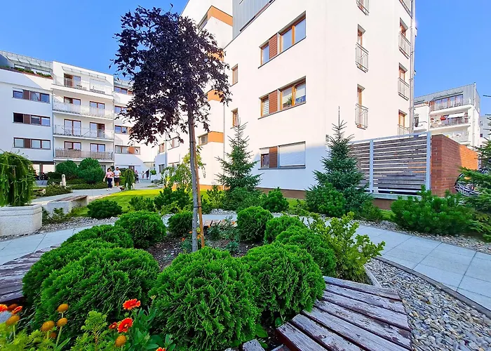 Visit Baltic - Platan Ster