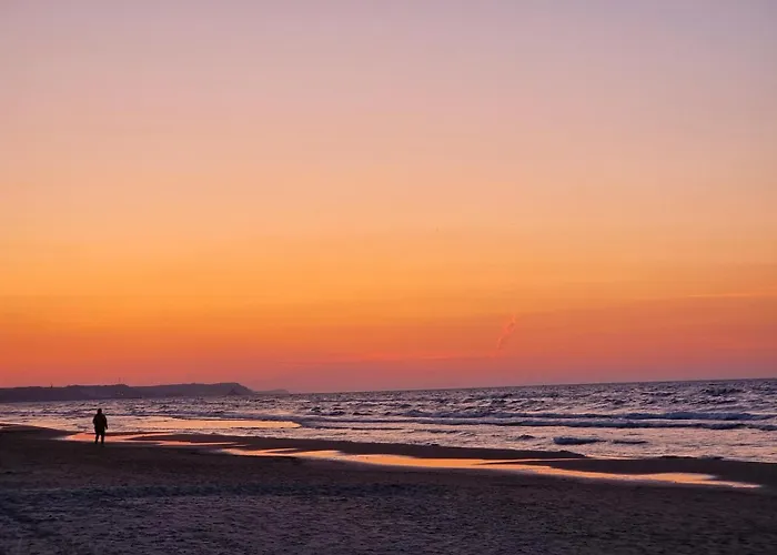 Visit Baltic - Platan Ster