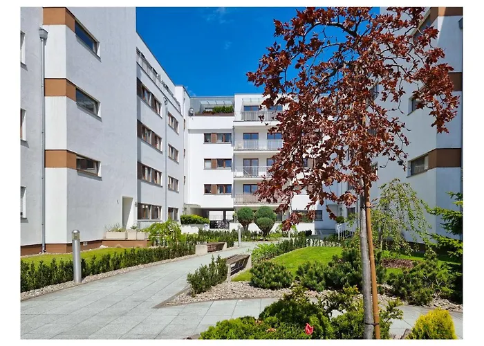 Visit Baltic - Platan Ster