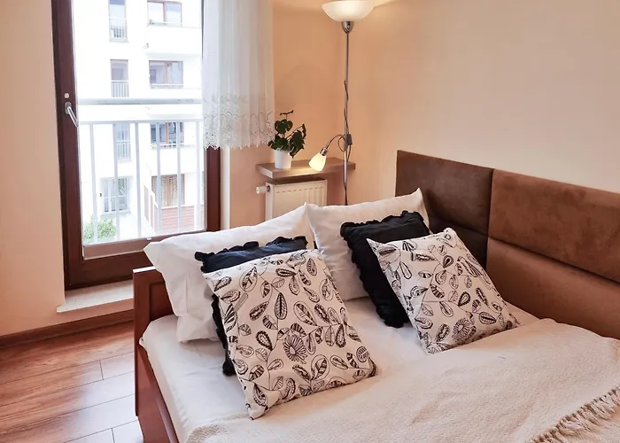 Visit Baltic - Platan Ster